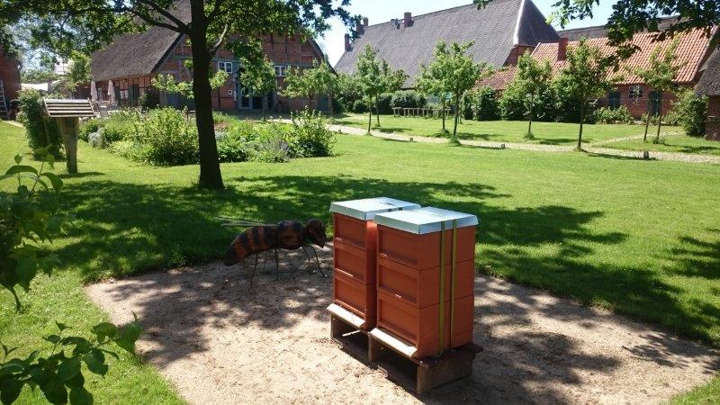 Das Foto zeigt einen Bienenstock in Konau 11 umgeben von einer grünen Wiese.
