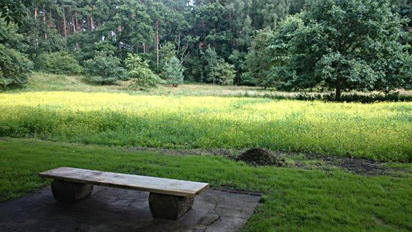 Schulgarten Schulgarten